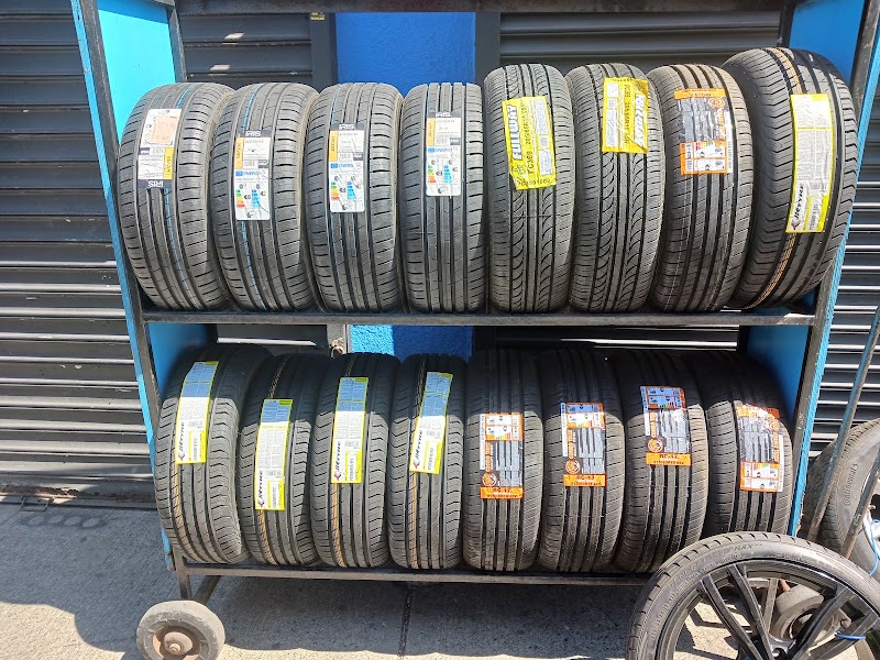 All Nation Tire Shop in New York